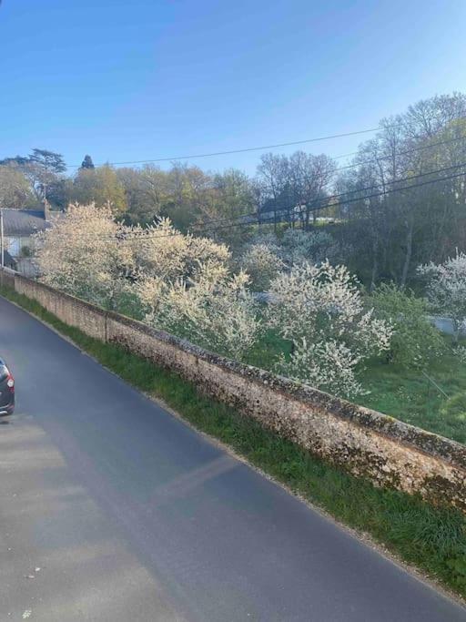 Gite Des Moriers Blois Bord De Loire Exterior foto